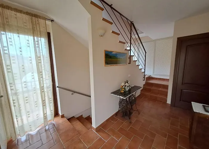 Butterfly Bagnoregio